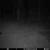 20251102 014455