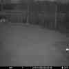 20260424 025658