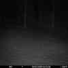 20260316 015508