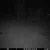 20251026 024437