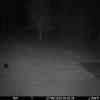 20250927 024324