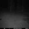 20251029 014444