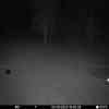 20251005 184346