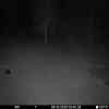 20251005 024346