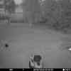 20250808 024155