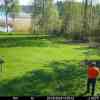 20260520 131544