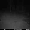 20251130 014622