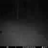 20251103 174502