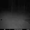 20251022 184427