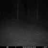 20260318 015515