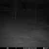 20260304 175431