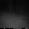 20251202 014628