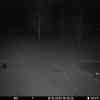 20251010 184356