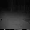 20251021 184425