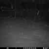 20260301 175420