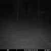 20251210 014652