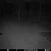 20251104 174501