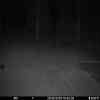 20251029 174449