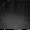 20251024 184434