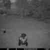 20250724 231523