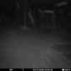 20251204 014635
