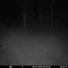 20251126 014609