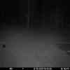 20251012 184400