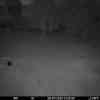 20250728 002207