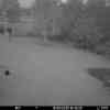 20250918 184308