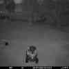 20250726 011312