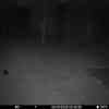 20251008 024352