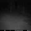 20251130 174626