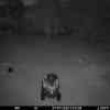 20250727 004234
