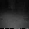 20251003 024341