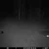 20251015 184408