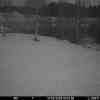 20260314 175505