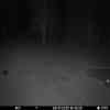 20251008 184351