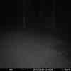 20251220 014729