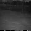 20260307 175442