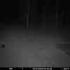 20251020 024423