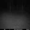 20251226 014752