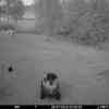 20250726 024138