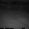 20260306 175438