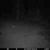 20251124 180040