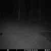 20251101 014453