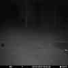 20251009 184353