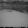 20260315 175505