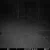 20251105 174504