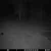 20251009 024355