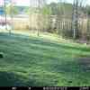 20260518 063810
